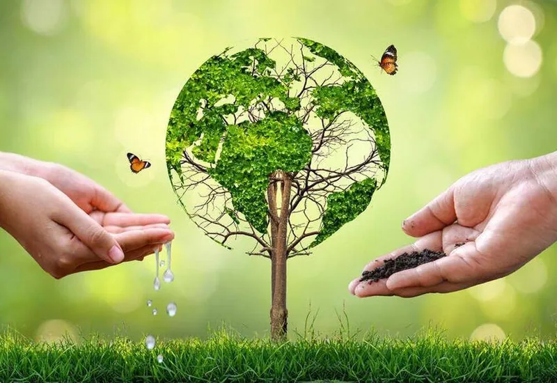 Hands nurturing a tree shaped like the Earth, symbolizing our commitment to responsible business, ethical supply chains, and sustainable practices.