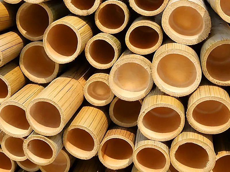 Sustainably harvested bamboo materials used for manufacturing eco-conscious electric toothbrush handles and brush heads.