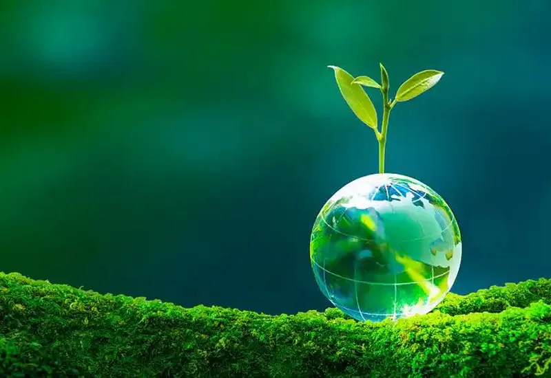 A glass globe with a growing green sprout on moss, representing our commitment to eco-conscious product design and low-impact manufacturing in oral care.