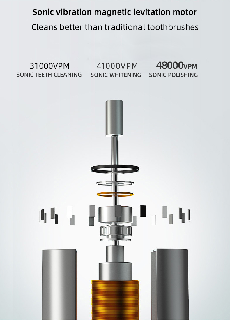 electric toothbrush rlt206 details 2