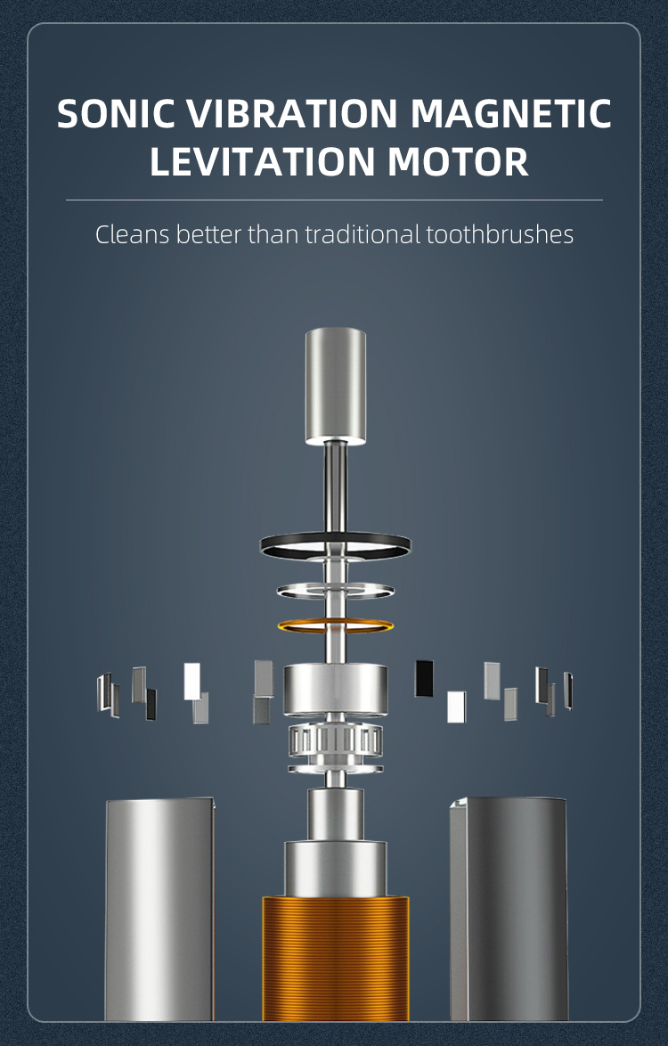 electric toothbrush rlt221 details 4