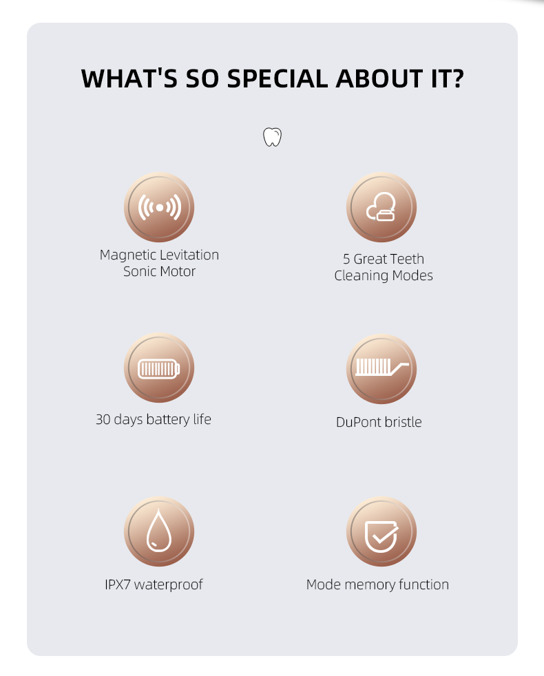 electric toothbrush rlt222 details 2