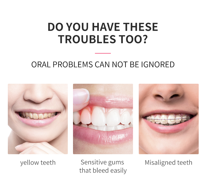 electric toothbrush rlt224 details 2