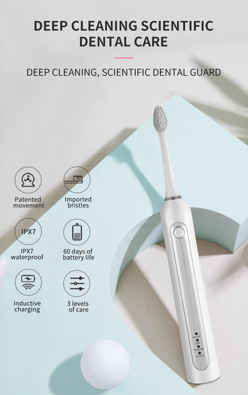 electric toothbrush rlt224 details 3