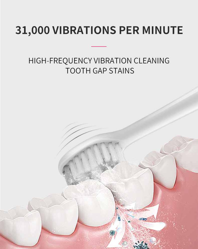 electric toothbrush rlt224 details 5