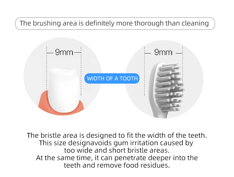 electric toothbrush rlt225 details 10