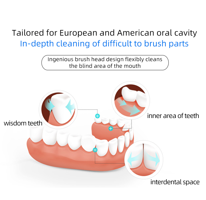 electric toothbrush rlt225 details 9