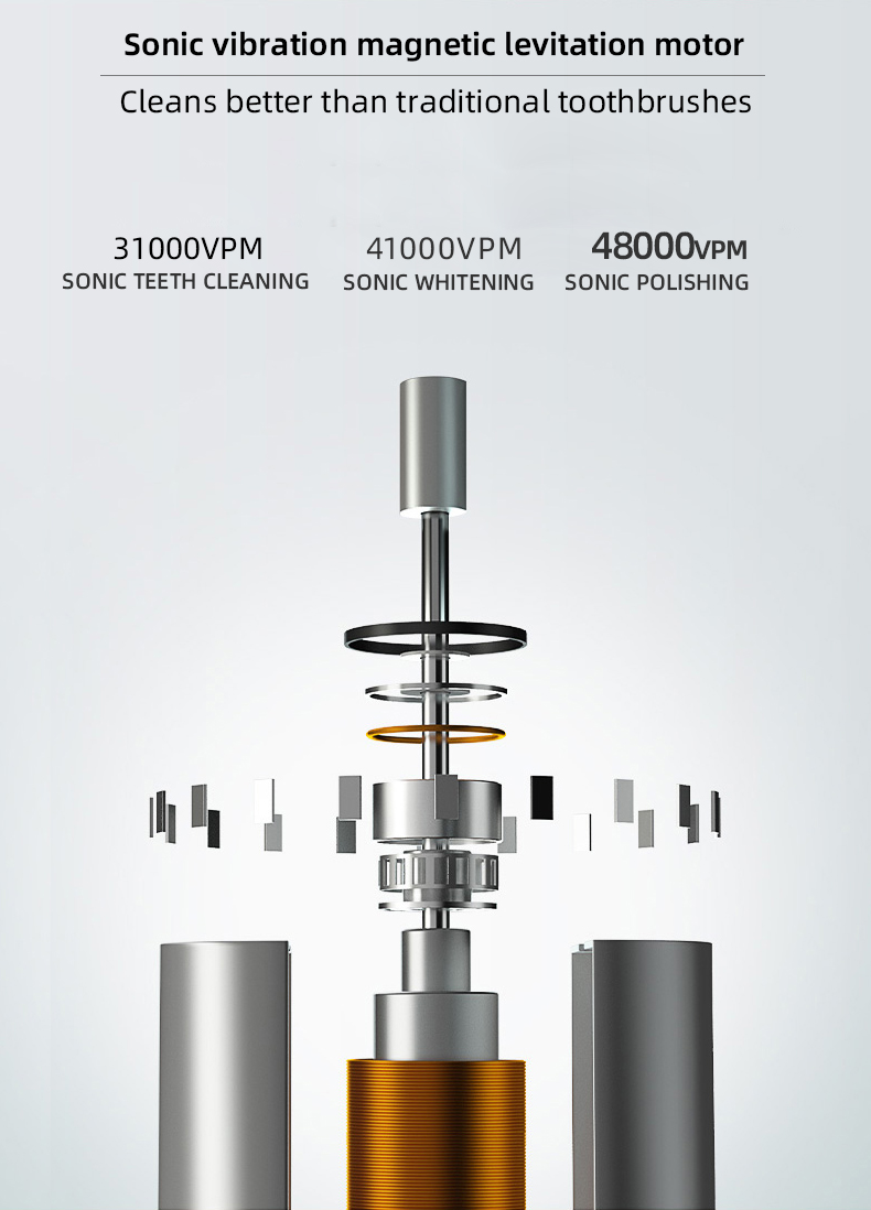 electric toothbrush rlt226 details 2
