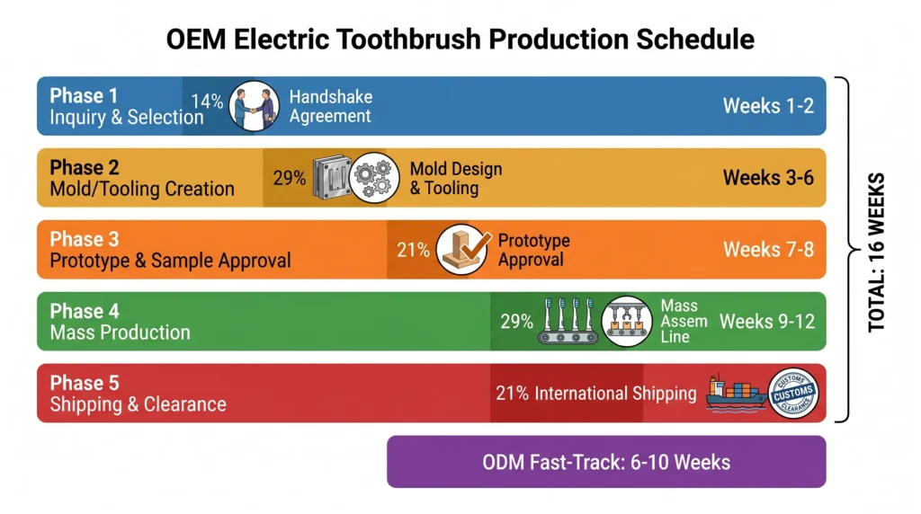Een productieschema in de stijl van een Gantt-diagram voor OEM elektrische tandenborstels met vijf fasen met proportionele tijdbalken: Inquiry & Selection (week 1-2), Mold/Tooling Creation (week 3-6), Prototype & Sample Approval (week 7-8), Mass Production (week 9-12), en Shipping & Clearance (week 13-16) - met ODM fast-track vergelijking op 6-10 weken.