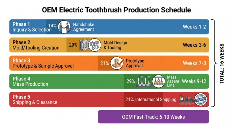 A Gantt-chart style OEM electric toothbrush production schedule showing five phases with proportional time bars: Inquiry & Selection (Weeks 1-2), Mold/Tooling Creation (Weeks 3-6), Prototype & Sample Approval (Weeks 7-8), Mass Production (Weeks 9-12), and Shipping & Clearance (Weeks 13-16) — with ODM fast-track comparison at 6-10 weeks.