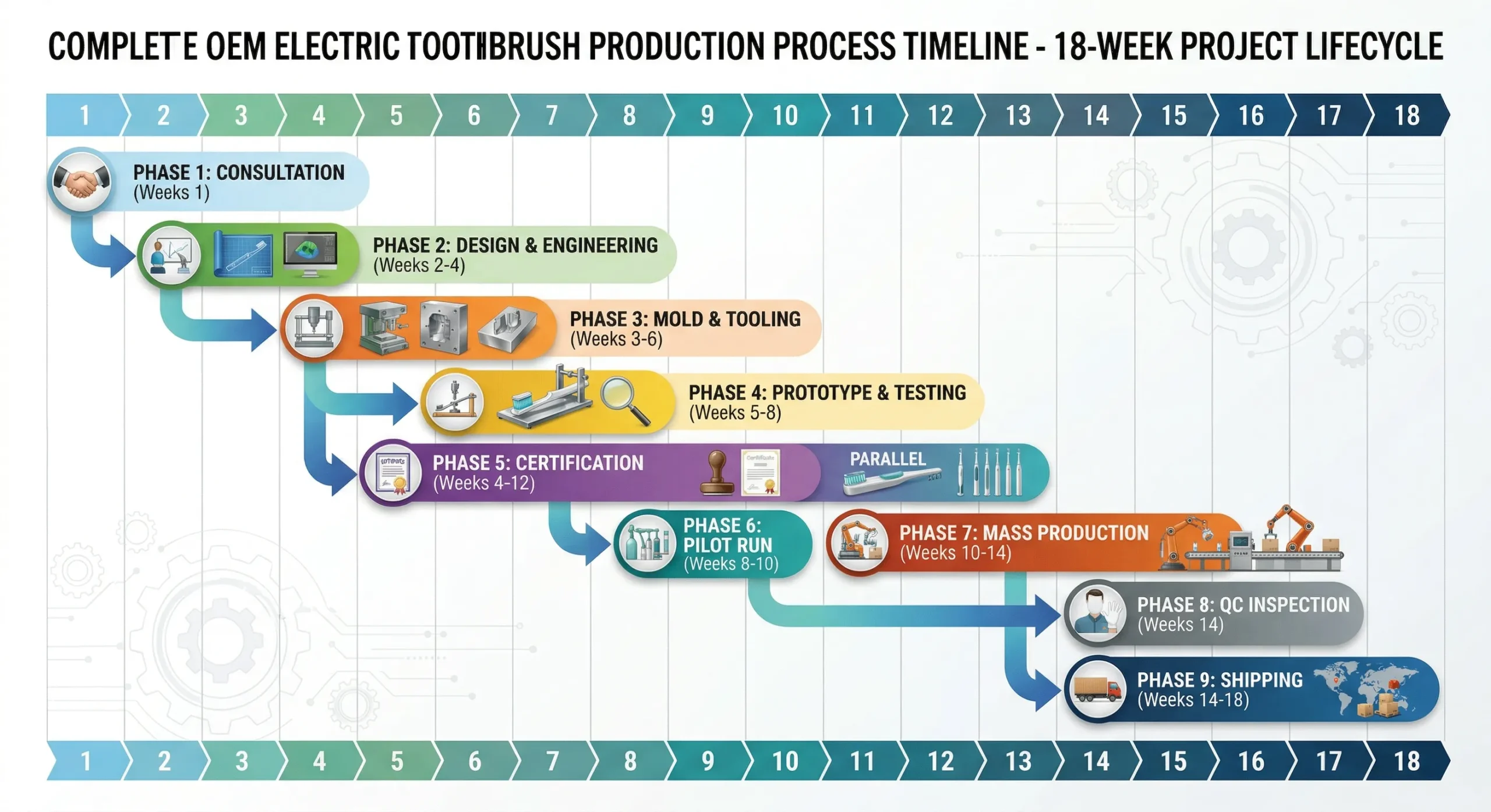 oem electric toothbrush production timeline 14 weeks scaled