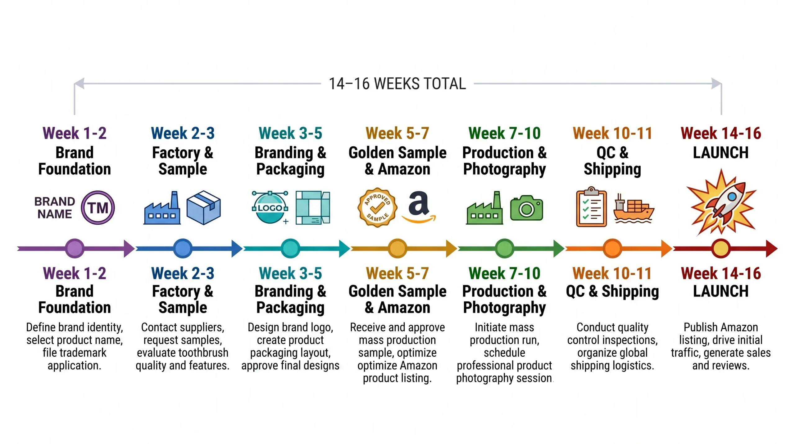 Private Label Electric Toothbrush: Complete Branding Guide (2026) 12 private label electric toothbrush launch timeline 16 weeks steps scaled