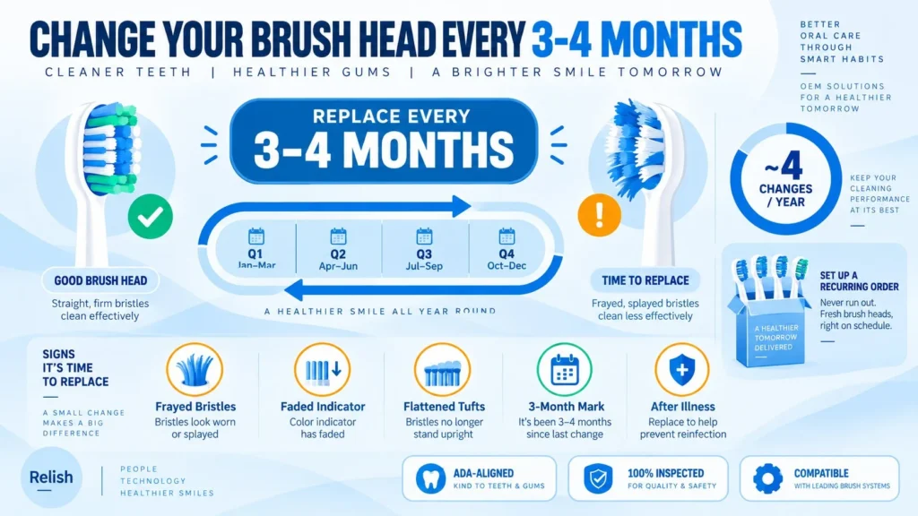 Infographic showing a toothbrush head replacement schedule of every 3 to 4 months, with healthy versus frayed bristles, five replacement signs, and an about four changes per year ring.