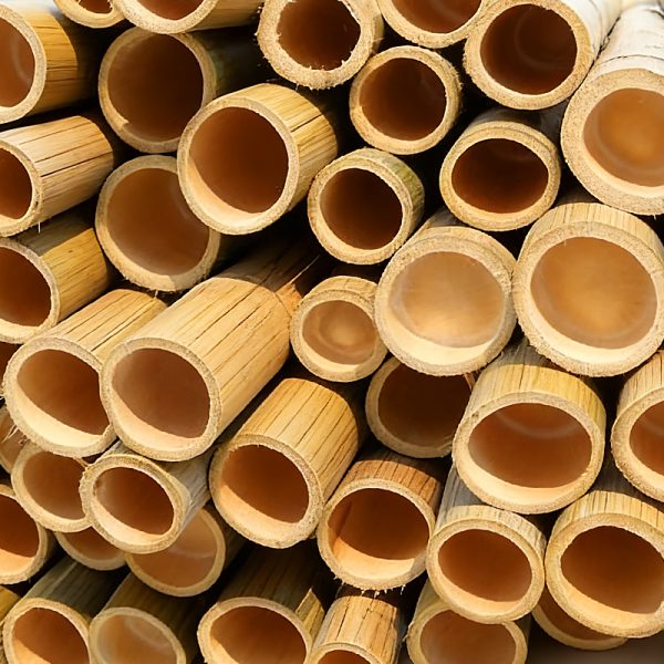 100%-Compostable-Handles